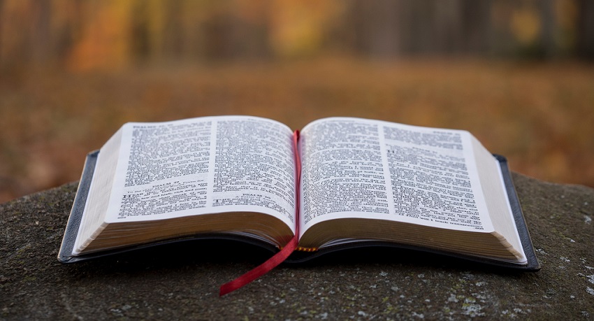Quais as vantagens de estudar a Bíblia Gospel Goods